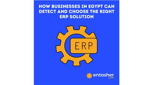 How Businesses in Egypt Can Detect and Choose the Right ERP Solution: A Comprehensive Guide