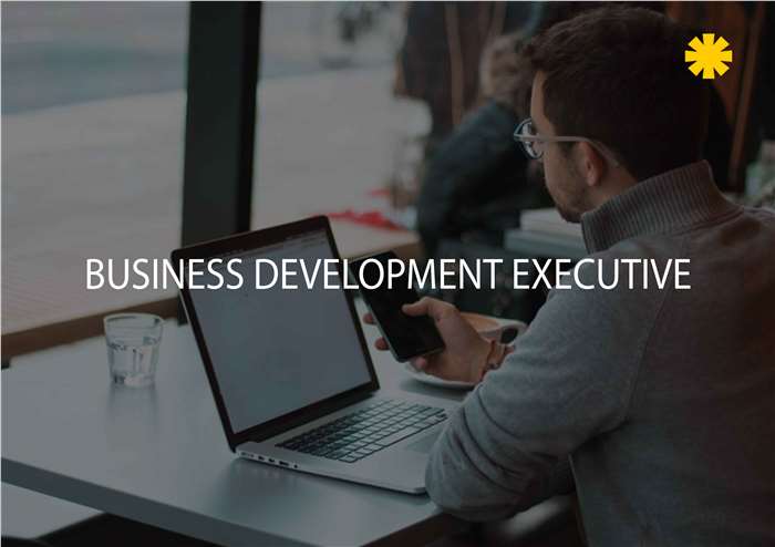 Business Development Executive full time