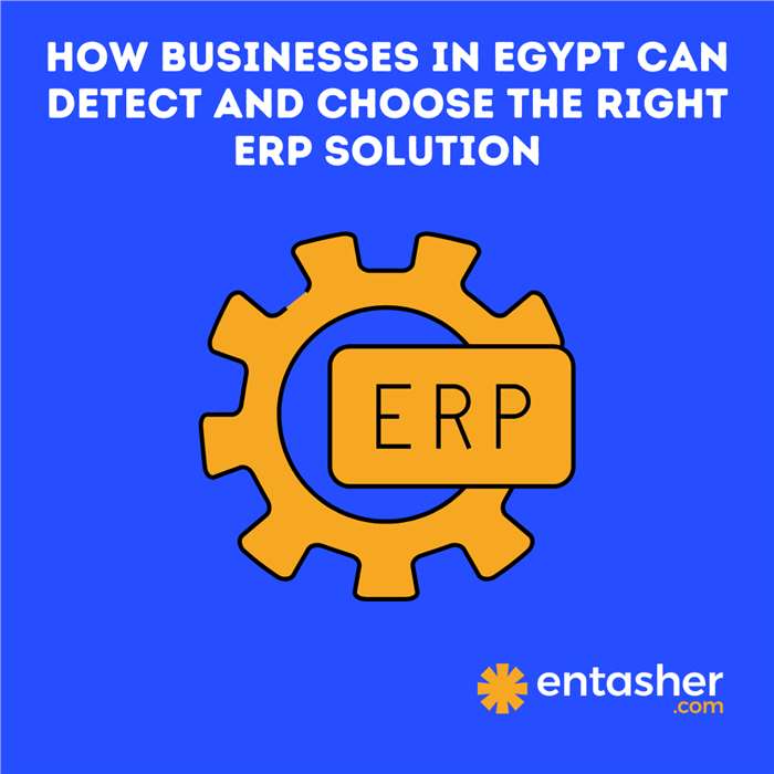 كيف تختار الشركات في مصر نظام ERP المناسب: دليل مختصر